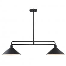 Trans Globe 11763 BK - Roscoe 2 - Light Industrial Linear Pendant