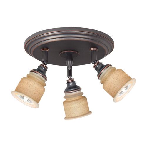 Ceiling pan